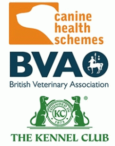 Kennel Club British Veterinary Association Logo